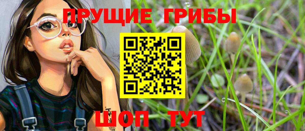 Псилоцибиновые грибы Cubensis Изобильный