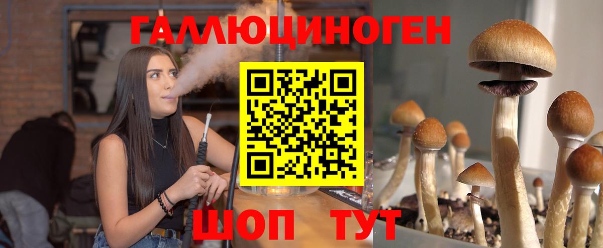 Псилоцибиновые грибы MAGIC MUSHROOMS  Вход с VPN  Изобильный 